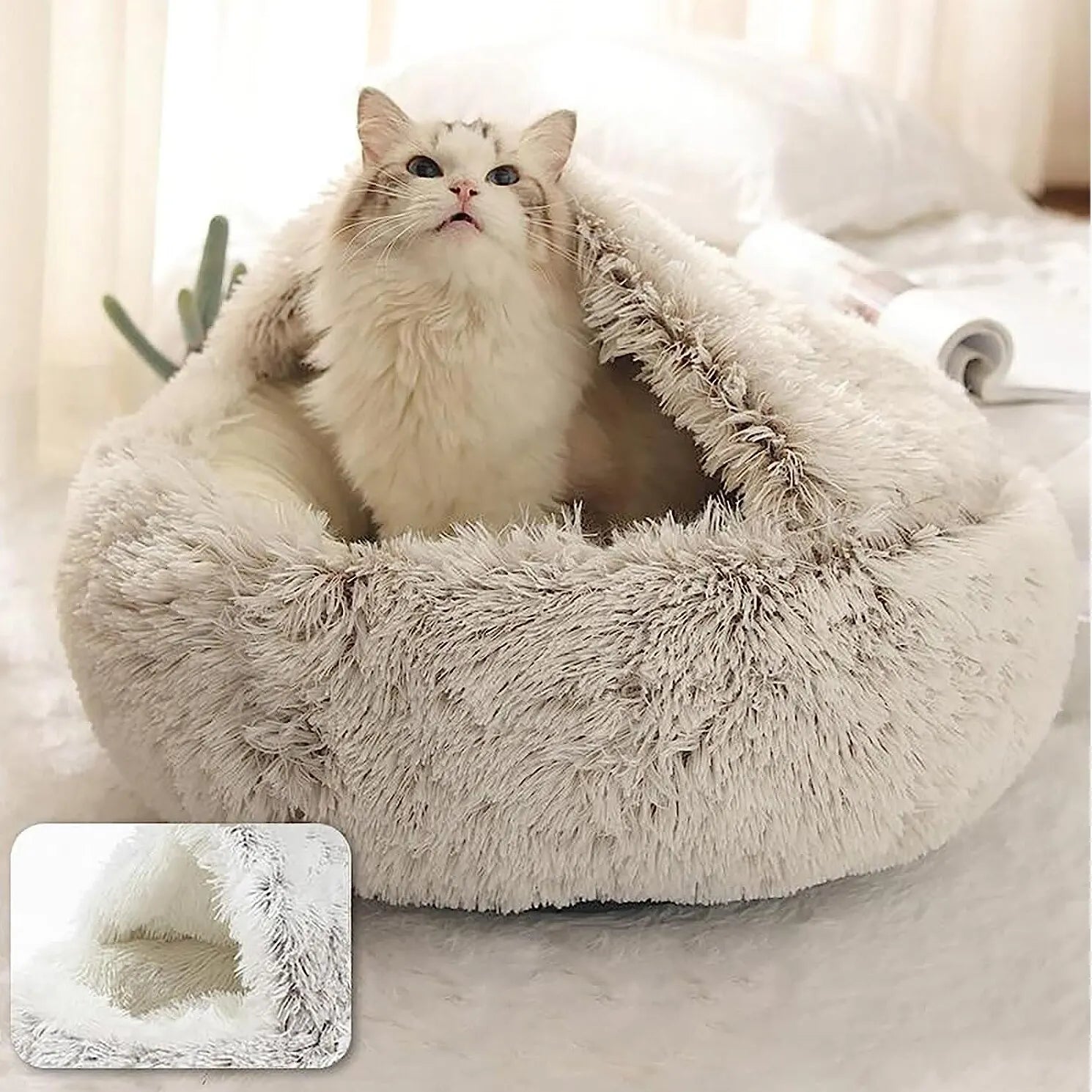 Pet Bed